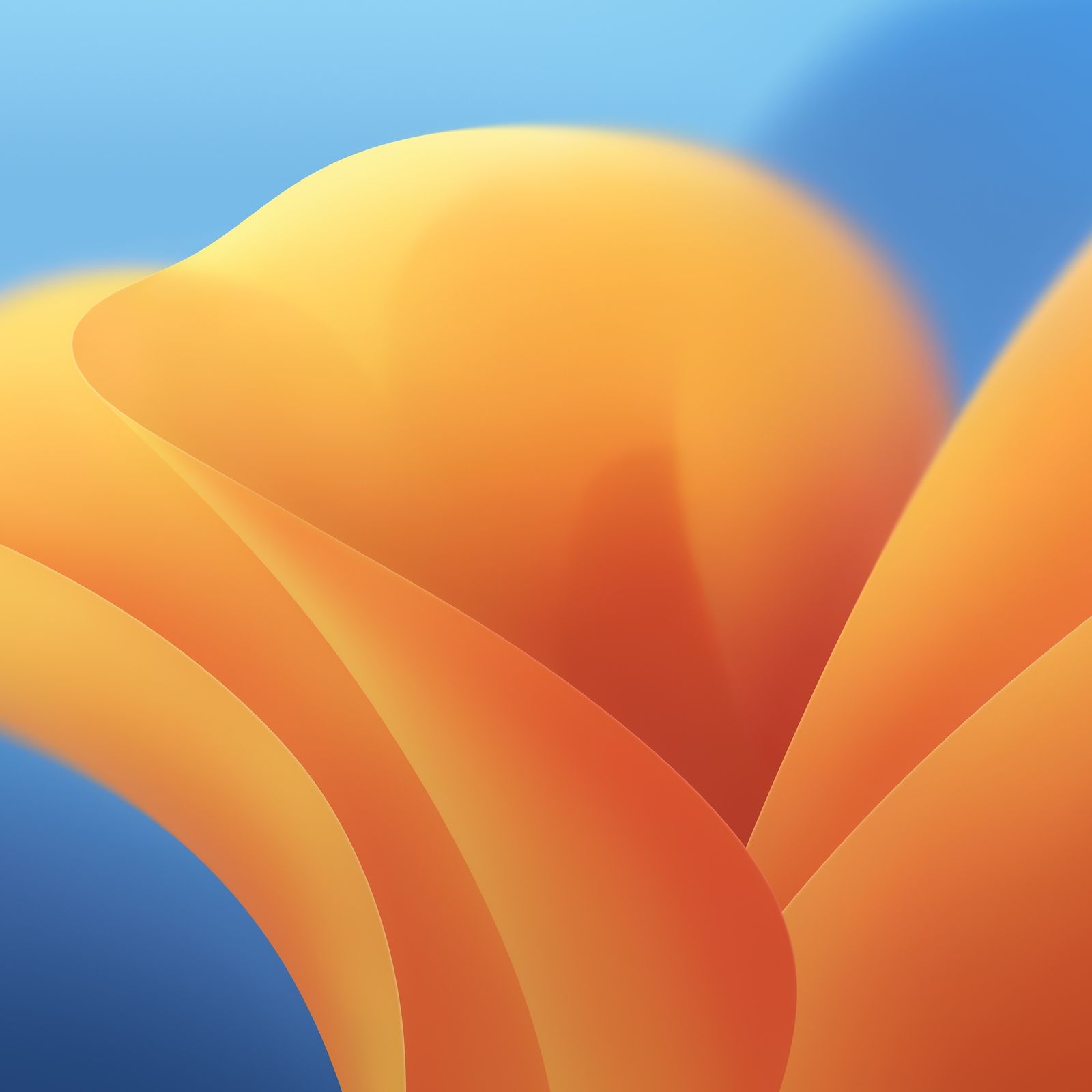 Install macOS Ventura Beta in VMware Fusion
